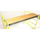 03805 Scaffold Walk Board Ladder 687930103805