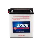 12n12a4a1 Exide Small Engine Battery 080824167042