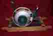 475984 Unbranded Generic Great Running Maytag Model 92 Gas Engine Motor Hit Miss Wringer Washer 475984 Unbranded Generic Great Running Maytag Model 92 Gas Engine Motor Hit Miss Wringer Washer