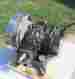 881317 Model Twin Maytag Nice Running 72 Cylinder Gas Engine 1939 S N Hit Miss