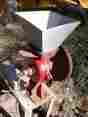 No60 C.s Bell C.s.bell 60 Burr Mill-corn Grinder-hit-n-miss Engine Display-farm Tool Item