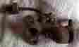 Zan4a1 Part Old Original Rare Cast Iron Zan4a1 Part Old Original Rare Cast Iron
