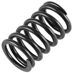Caltric Engine Valve Spring For Kohler 2408902-S New. Fixed Price $9.00.