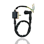 Wire Pin Black Ignition Coil For Coolster 125CC Kids 4 Quad Four Wheeler Atv. Fixed Price $25.95.