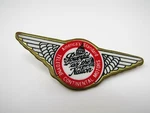 Vintage Teledyne Continental Motors Aviation Wings Pin Badge Powerful As The. Fixed Price $75.00.