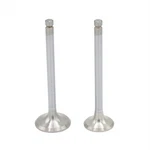 Engine Valve Set (in+ex): Compatible With Lister / Sr - 9940. Fixed Price $45.55.
