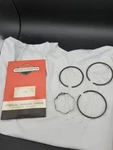 Briggs & Stratton 391669 499921 Rings 0RG Service Parts, Gen. Oem, CN2.. Fixed Price $18.99.