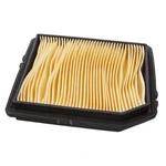 Air Filter Champion CAP6333. Fixed Price $29.99.