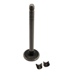 Briggs & Stratton 390419 Exhaust Valve 691794 140202 140232 141202 144202 146401. Fixed Price $14.95.