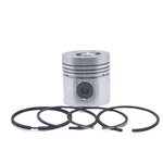 Piston + Ring Set (std): Compatible With Hatz / E108 D108 Z108 V108. Fixed Price $157.80.