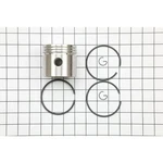 Briggs & Stratton 294676 Piston Assy-std. Fixed Price $74.99.