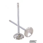 Gsc Power 2192-6 Intake Valves For Toyota G16E-GTS Engines. Fixed Price $167.12.