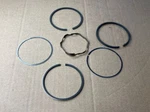 Briggs & Stratton 299742 Ring Set-std Chr. Fixed Price $38.82.