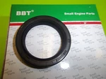 New Bbt Oil Seal Fits Briggs 805049S 31210 Btt Free Shipping. Fixed Price $11.88.