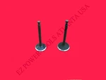 Briggs Stratton 389CC Gas Engine Generator Equipment Intake Exhaust Valve Set. Fixed Price $15.99.