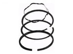 391782 Piston Rings Briggs And Stratton Genuine Part Nos. Fixed Price $28.50.