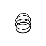 Ring Set (std) Fits Tecumseh Replaces 32595. Fixed Price $18.99.