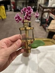 Essex Brass Cylinder Oiler Hit Miss Engine Steam Antique Restored Beauty Rare. Fixed Price $199.99.