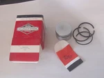 Nos Oem Genuine Briggs & Stratton 298906 Piston Assy. -020. Fixed Price $40.00.