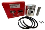 New Piston Kit With Rings Fits Briggs & Stratton Model 8, Head. Fixed Price $39.95.