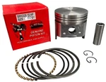 New 390366, 792367 .020" Oversize Piston & Ring Kit Fit Briggs Cast Iron 16HP. Fixed Price $79.95.