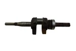Briggs & Stratton Crankshaft 260958 493290 5HP 130207-130232 Straight Key. Fixed Price $39.98.