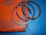 Oem Briggs & Stratton Piston Ring Set 290822 Rusted B79. Fixed Price $22.50.