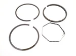 Genuine Briggs & Stratton 391782 Ring Piston Kit. Fixed Price $19.99.