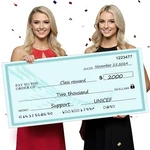 Big Check Large - 30 X 16 Reusable Giant For Presentations Aw.... Fixed Price $17.13.