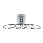 Piston + Ring Set (STD-107.95MM): Compatible With Lister / Hrs Hrws. Fixed Price $163.52.