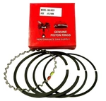 Set Piston Rings Fits Briggs And Stratton 16HP & 18HP Twin Opposed L Head. Fixed Price $19.95.