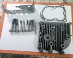 Briggs & Stratton Hp Engine(model 135292 (type 0141-01) Head Assembly. Fixed Price $25.00.