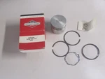 New Genuine Oem Briggs & Stratton 295456 Piston ASSY-.010. Fixed Price $75.00.