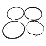 Briggs & Stratton 391654 Piston Ring Set Std 114900, 111900, 112700, 112200 Oem. Fixed Price $14.95.