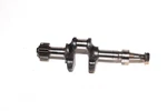 Reo Engine Model 552A Royale * Crankshaft LM216 Lawn Mower Motor Part. Fixed Price $29.95.