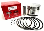 New .020" Piston Kit Fits Briggs & Stratton 8HP, Replaces Part # 391677, 499909. Fixed Price $44.95.