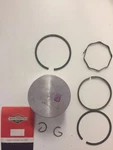 295846 Piston Assy Briggs And Stratton Nos (with Rings). Fixed Price $75.99.