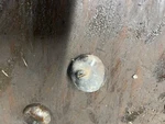 Antique Vintage Johnson Iron Horse Model X-305 Engine Crankcase Breather Cap. Fixed Price $8.00.