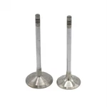 Engine Valve Set (in+ex): Compatible With Hatz / 1B40 1B50 - 5653. Fixed Price $53.57.