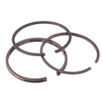 Briggs & Stratton 298984 Ring Set (.020). Fixed Price $46.05.