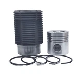 Kit (piston + Ring Set Cylinder Liner): Compatible With Hatz / E108. Fixed Price $375.89.