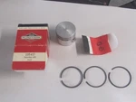 New Genuine Oem Briggs & Stratton 295457 Piston ASSY-.020. Fixed Price $75.00.