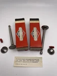 Briggs & Stratton Exhaust Valve 296676 Intake 296677 Oem Packaging Nos. Fixed Price $20.00.