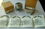 Wisconsin Engines DB209-5SP30 Piston & DR6ES-30 Rings. Fixed Price $179.00.
